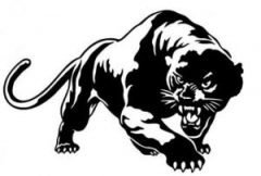 Autoentrepreneur Libre