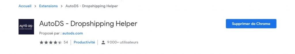 auto ds dropshipping